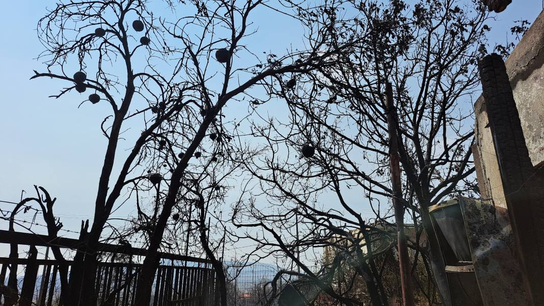 Meriç Bölgesi'nde yanan ormanlık alanda ceset bulundu - Resim: 29